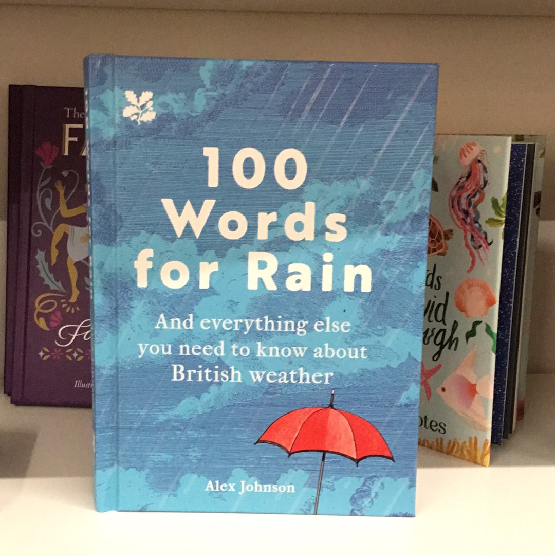 100 Words for Rain