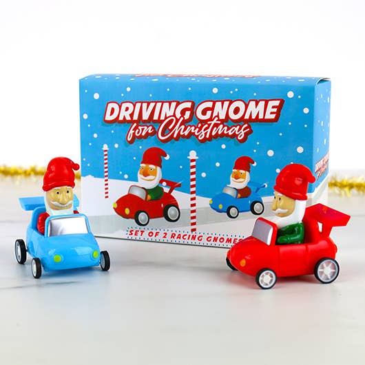 Driving Gnome For Christmas